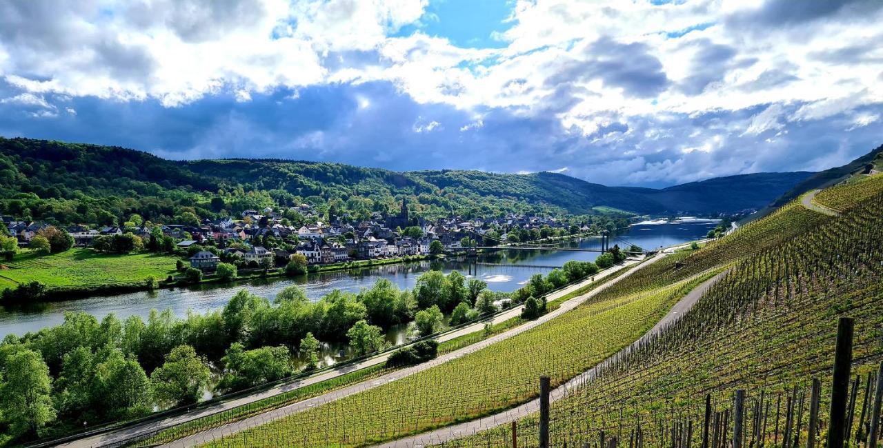 Sonnenufer Apartment & Moselwein II Bernkastel-Kues Exteriör bild